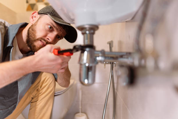 Best Sprinkler Systems  in Novato, CA