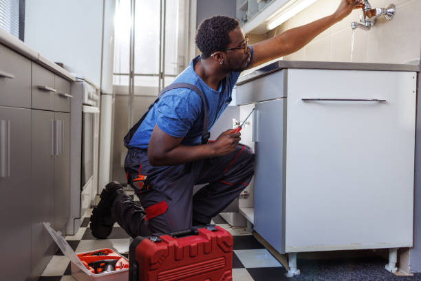Best Local Plumber Services  in Novato, CA